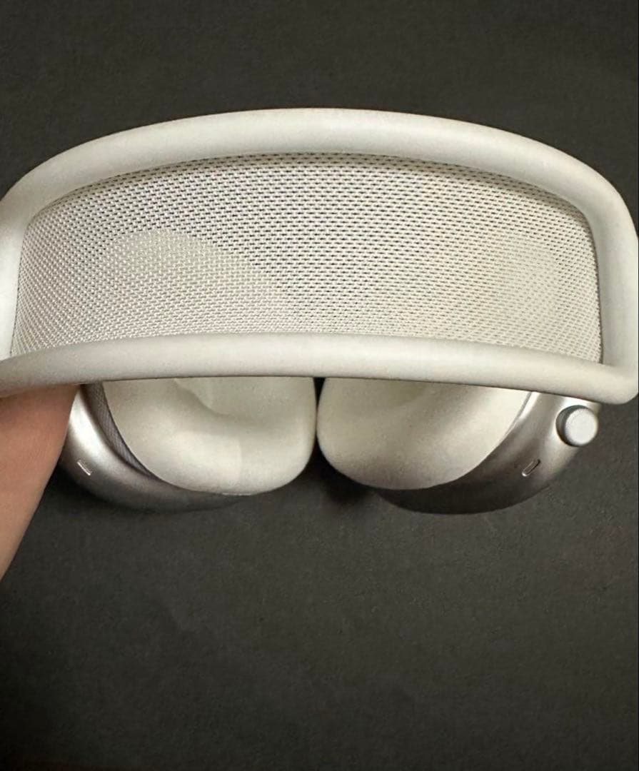 イルカAirPods Max