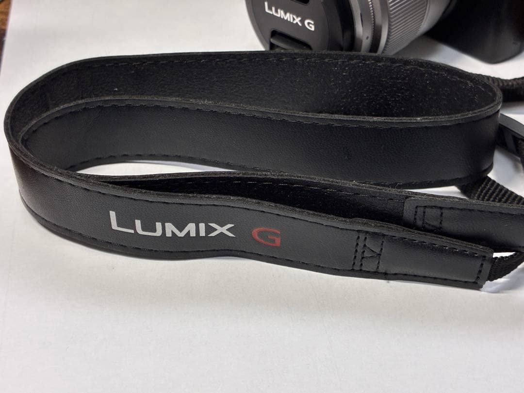 美品　LUMIX G100Dパナソニックミラーレス一眼　標準ズームレンズセット