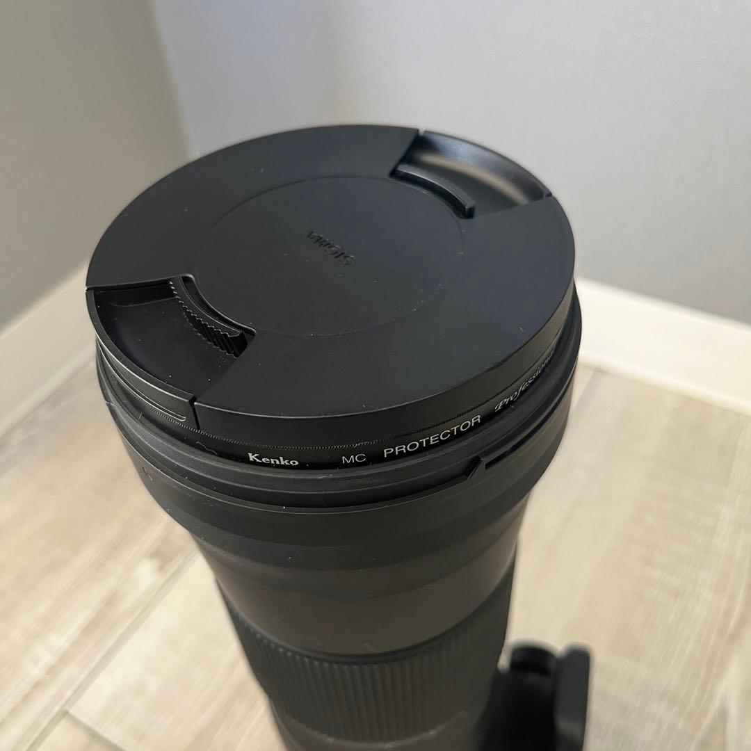 ⭐︎SIGMA 150-600mm F5-6.3 DG EFマウント