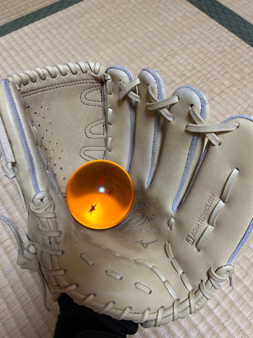 f*様 ミズノプロ　投手用