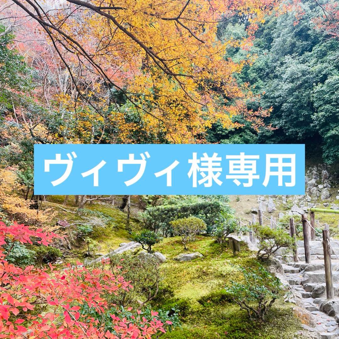 ヴィヴィ