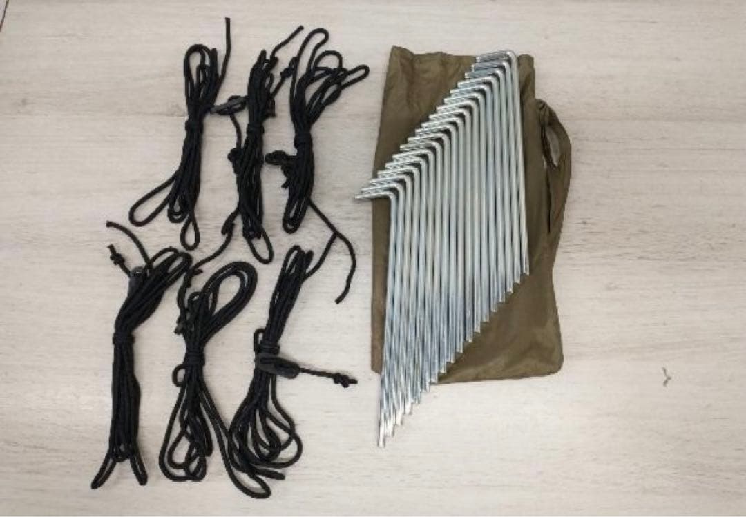 最安値　新品未使用　Gucci The North Face Tent テント