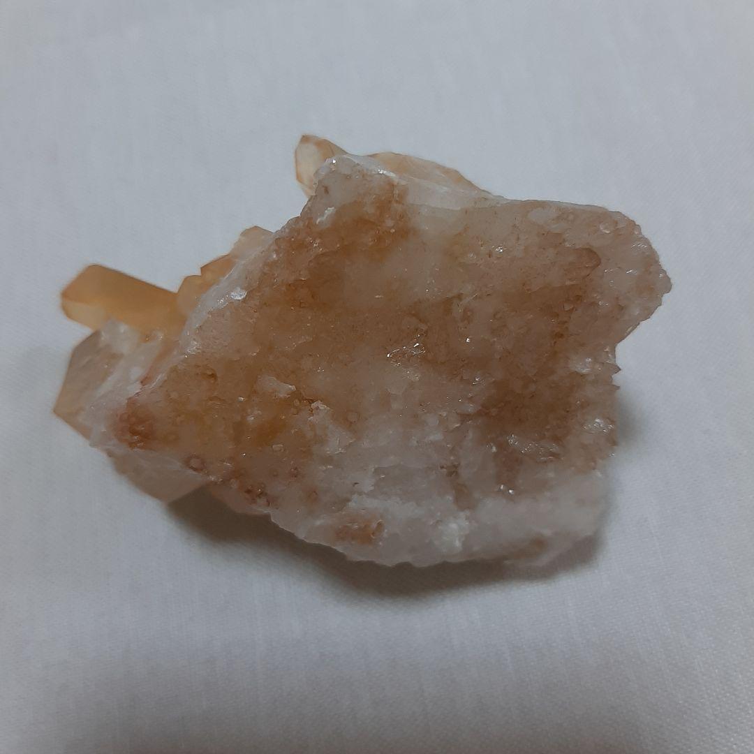 ゴールデンヒーラー