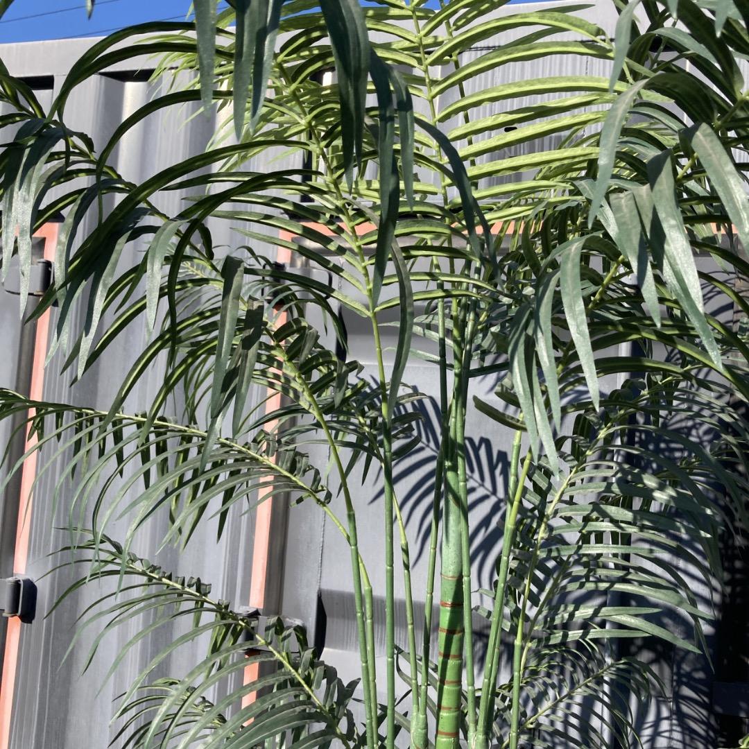 【お値下げOK】大型フェイクグリーン 光触媒人工植物 光の楽園 高さ約260cm