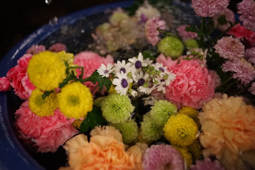 作例付き　Nikon Ai 28mm F2.8 管mpr NIKKOR