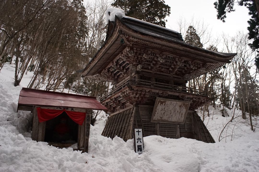 作例付き　Nikon Ai 28mm F2.8 管mpr NIKKOR