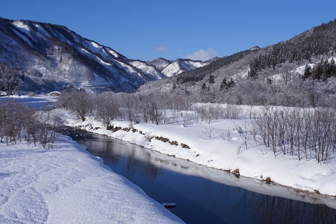 作例付き　Nikon Ai 28mm F2.8 管mpr NIKKOR