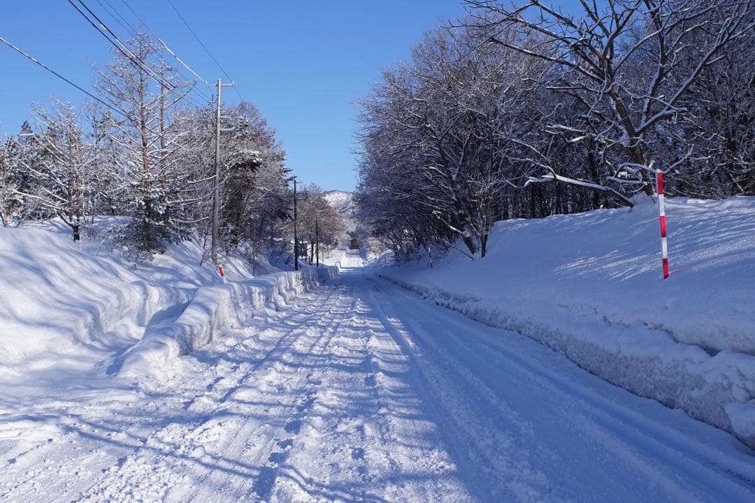 作例付き　Nikon Ai 28mm F2.8 管mpr NIKKOR