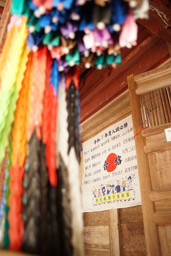 作例付き　Nikon Ai 28mm F2.8 管mpr NIKKOR