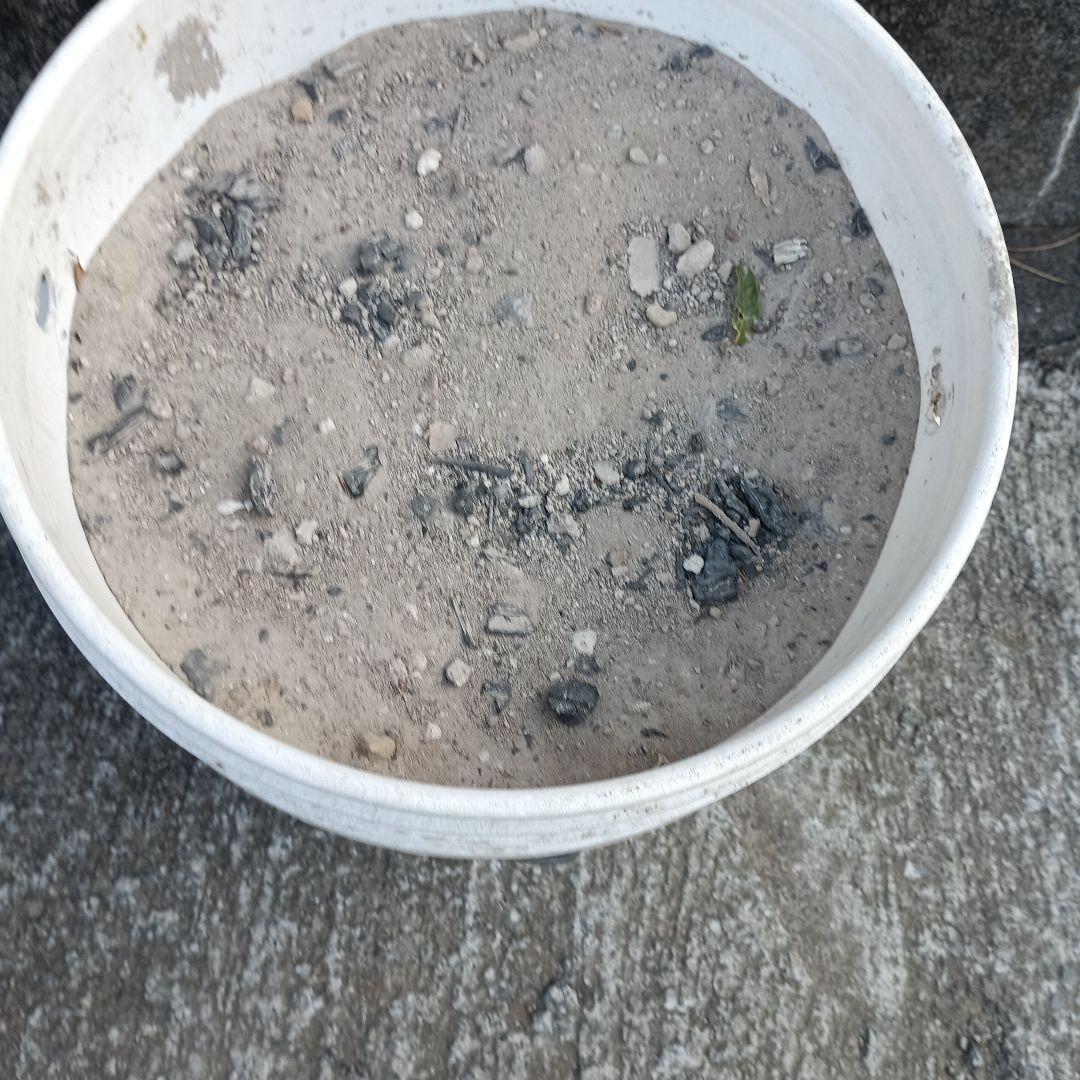 火鉢