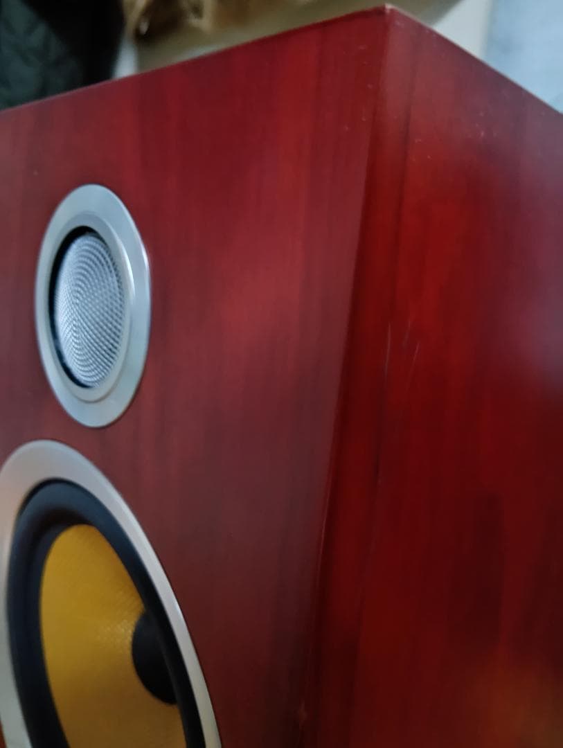 B＆W　CM5 S2（1本） と CDM1（1本）