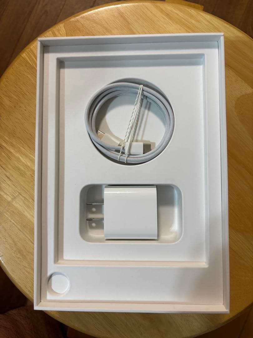 ひ*読様 Apple iPad mini (第6世代) スペースグレー 256G