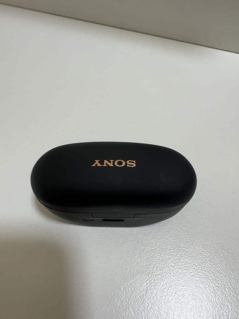 SONY WF-1000XM5 / ソニー XM5 純正 イヤホンケースのみ