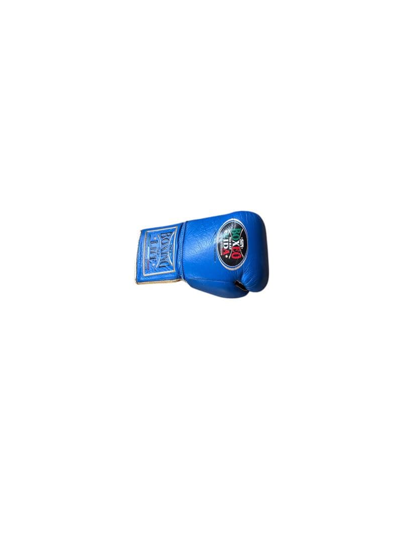 『新品未使用品』ボクシンググローブ No Boxing No Life 10oz