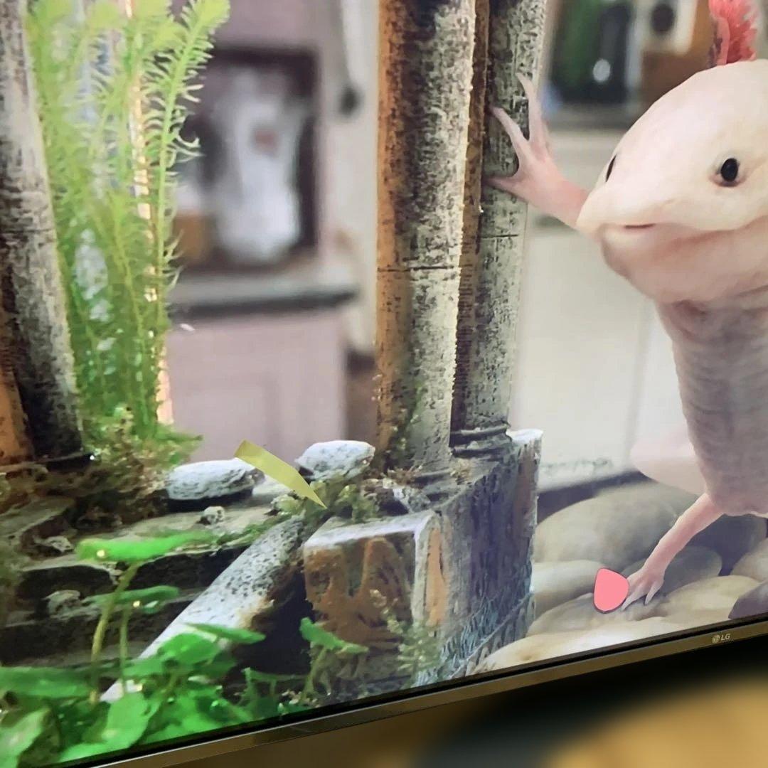 LG 55インチ 【大阪直接引取り】55UH6500 大画面 画面傷あり