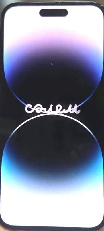 2025.2購入 Apple iPhone 14 Pro Max 128GB 黒