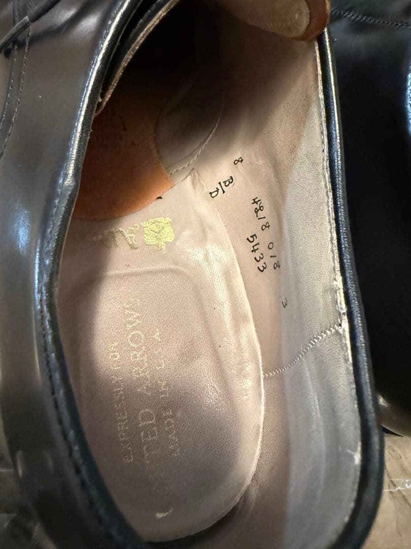 Alden ブラック Vチップ　コードヴァン　シューツリー付