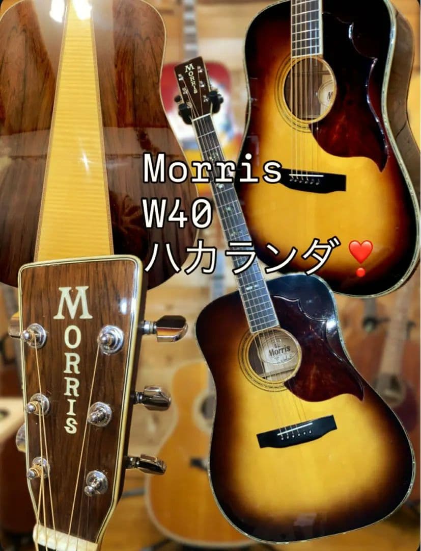 週末値下美品❣️モーリスW-40 ハカランダビンテージ、ピックガード新