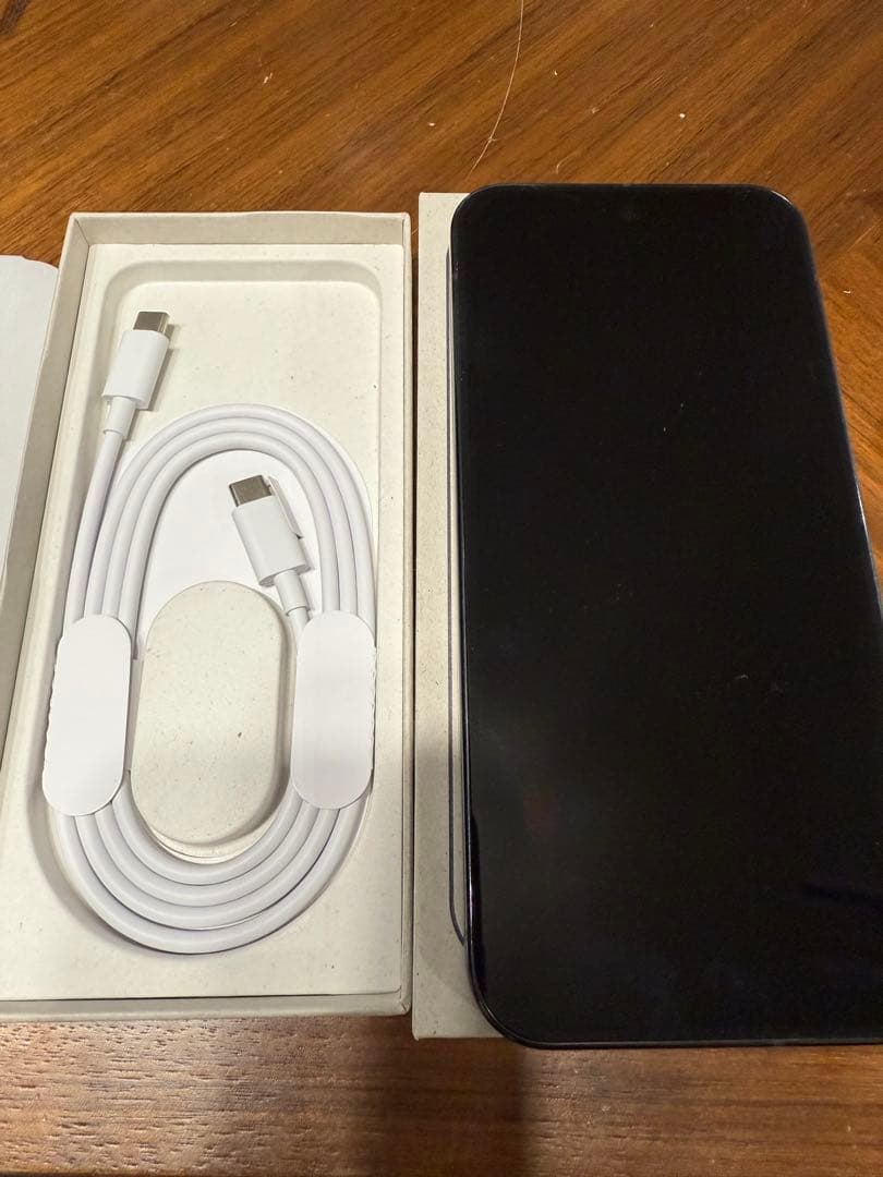 Google Pixel 9 Pro XL 本体 Obsidian