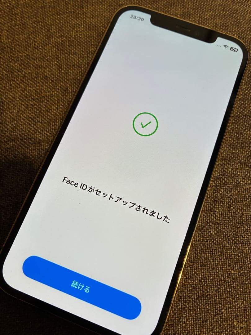 iPhone12 Pro【背面ひび割れ有り】