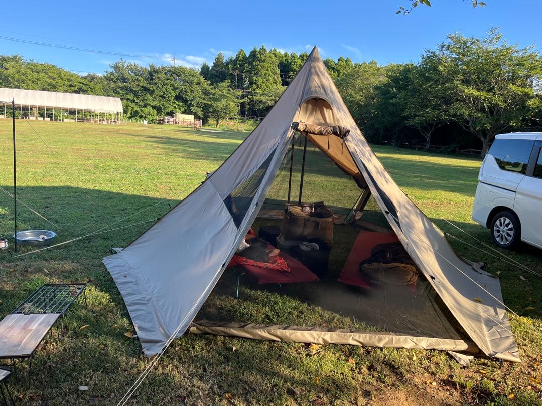 サバティカル　モーニンググローリー　シンセティックプラス