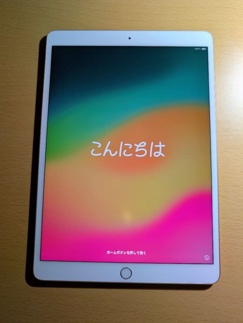 iPad Pro 10.5インチ 256GB Apple Pencil