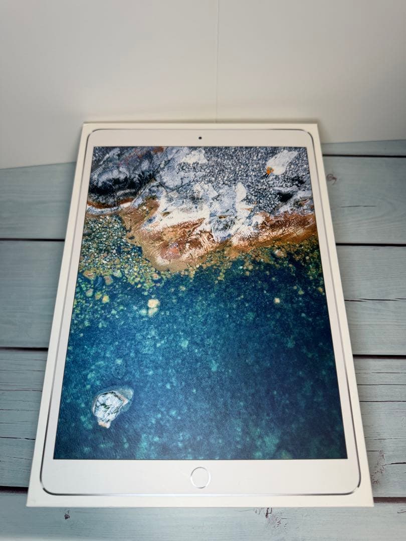 Apple iPad Pro 10.5 シルバー 本体