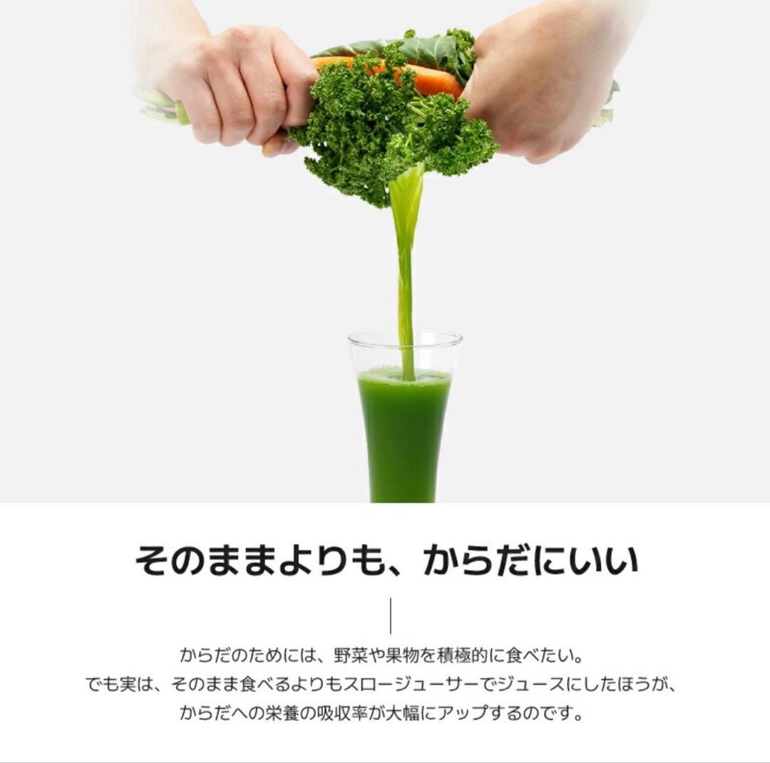 【極美品】Kuvingsクビンス ホールスロージューサープロCS520SM業務用