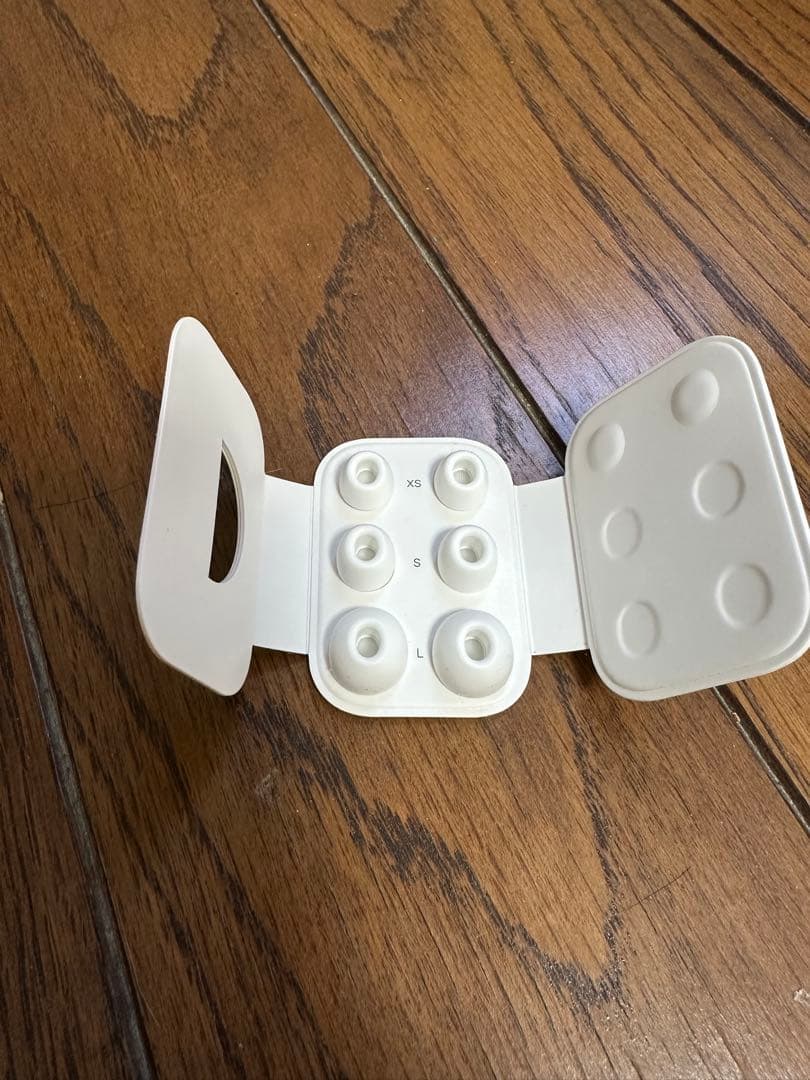 AirPodspro2本体とイヤーチップ6個、Lightning