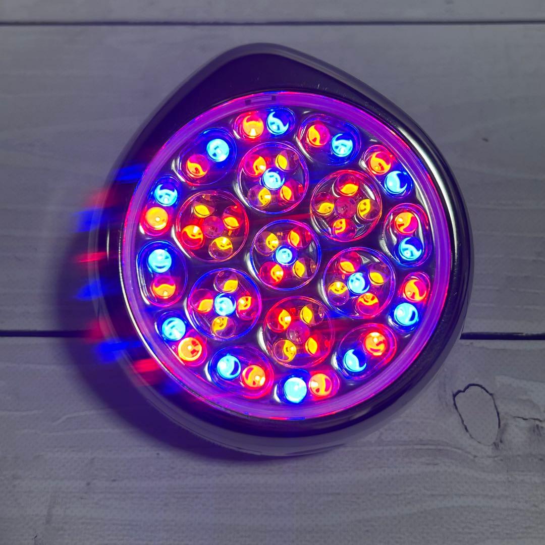 【動作確認OK】 Exidéal Sphere エクスイディアル 美顔器 LED