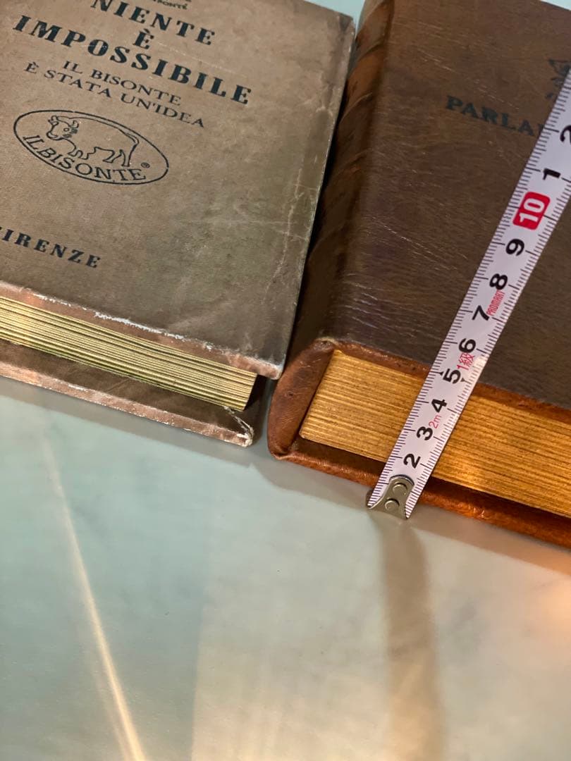 希少　イルビゾンテ　プエブコ　別注　エンプティーブック　本　洋書