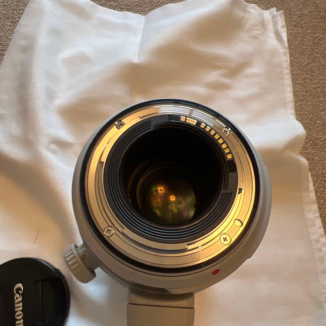 美品 Canon EF100-400mm F4.5-5.6L IS II USM