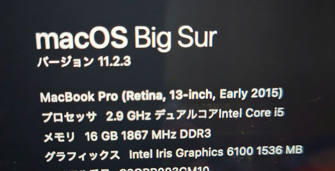 MacBook本体 MacBook pro 13-inch Early 2015