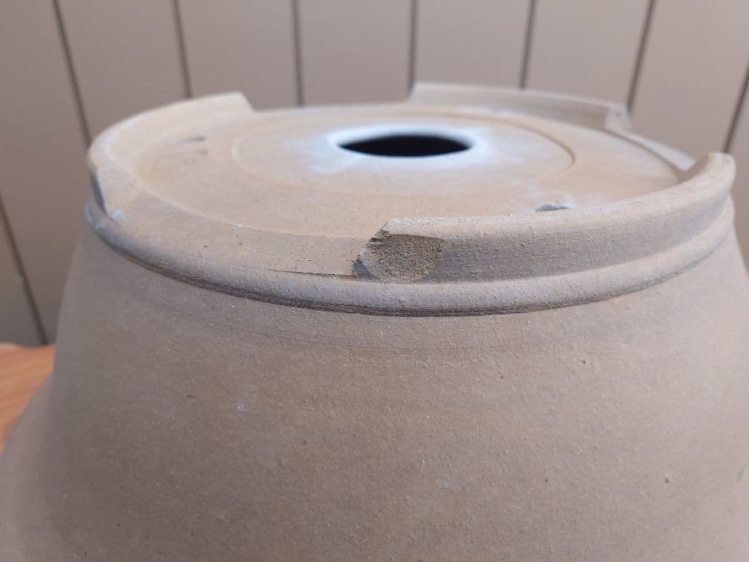 盆栽　鉢　勝山　直径41cm