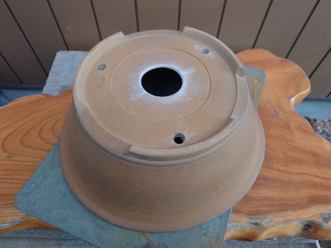 盆栽　鉢　勝山　直径41cm