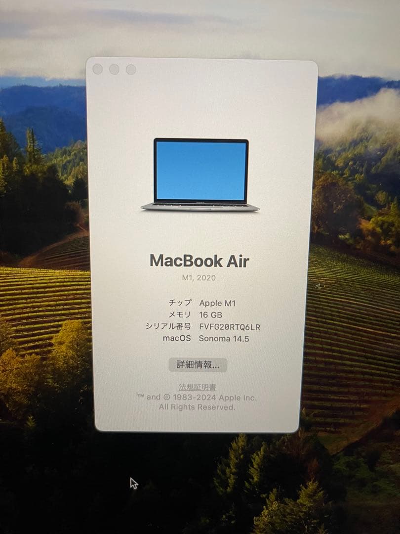 杉浦M1 MacBook Air 2020 2TB 16GBメモリ　おまけ