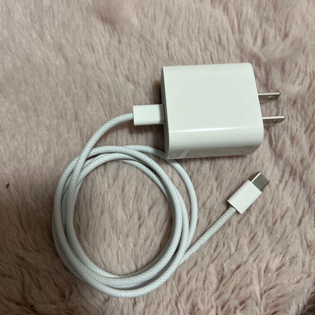 Apple iPad mini スターライト