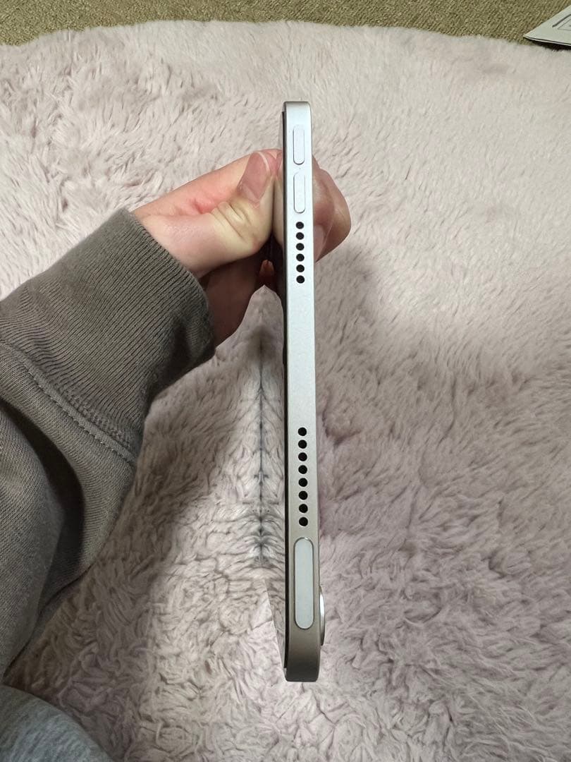 Apple iPad mini スターライト