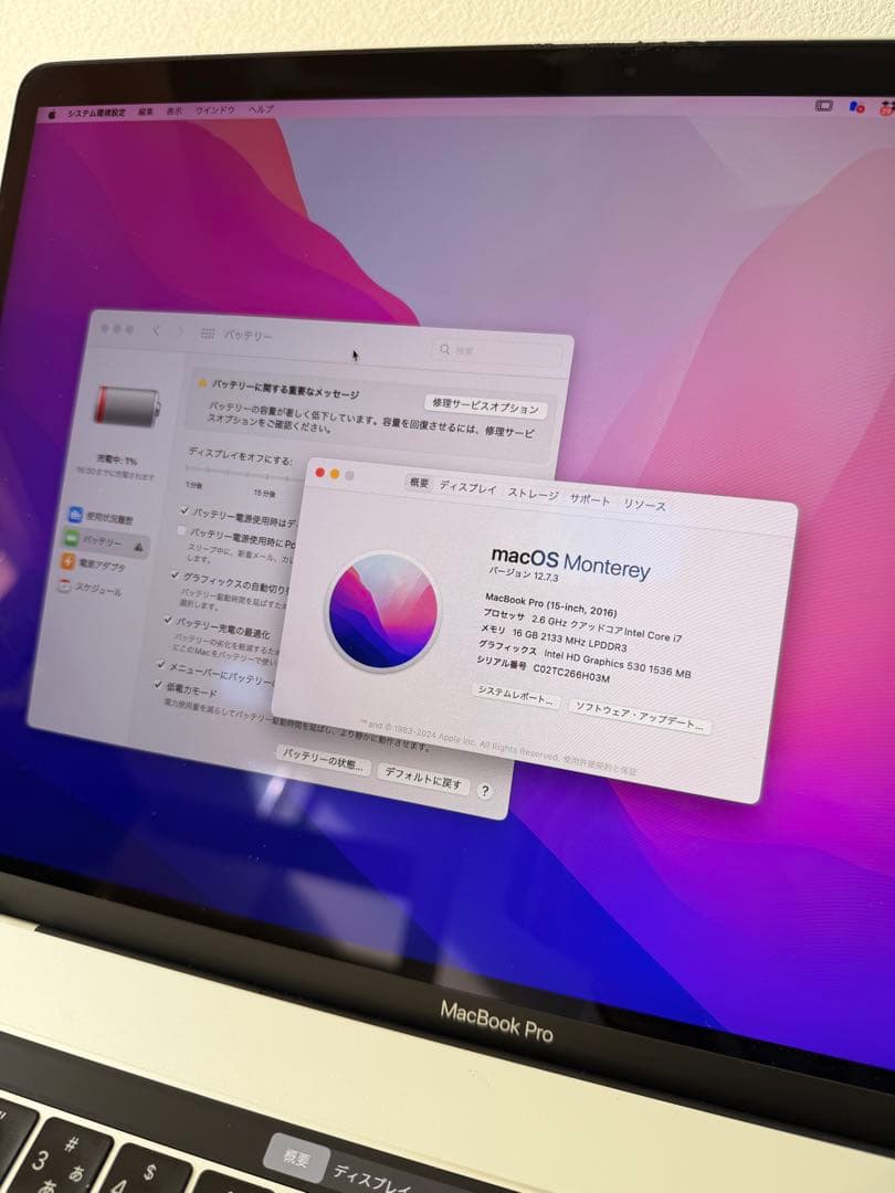 MacBookPro 15インチ【256GB/メモリ16GB/2.6GHz】