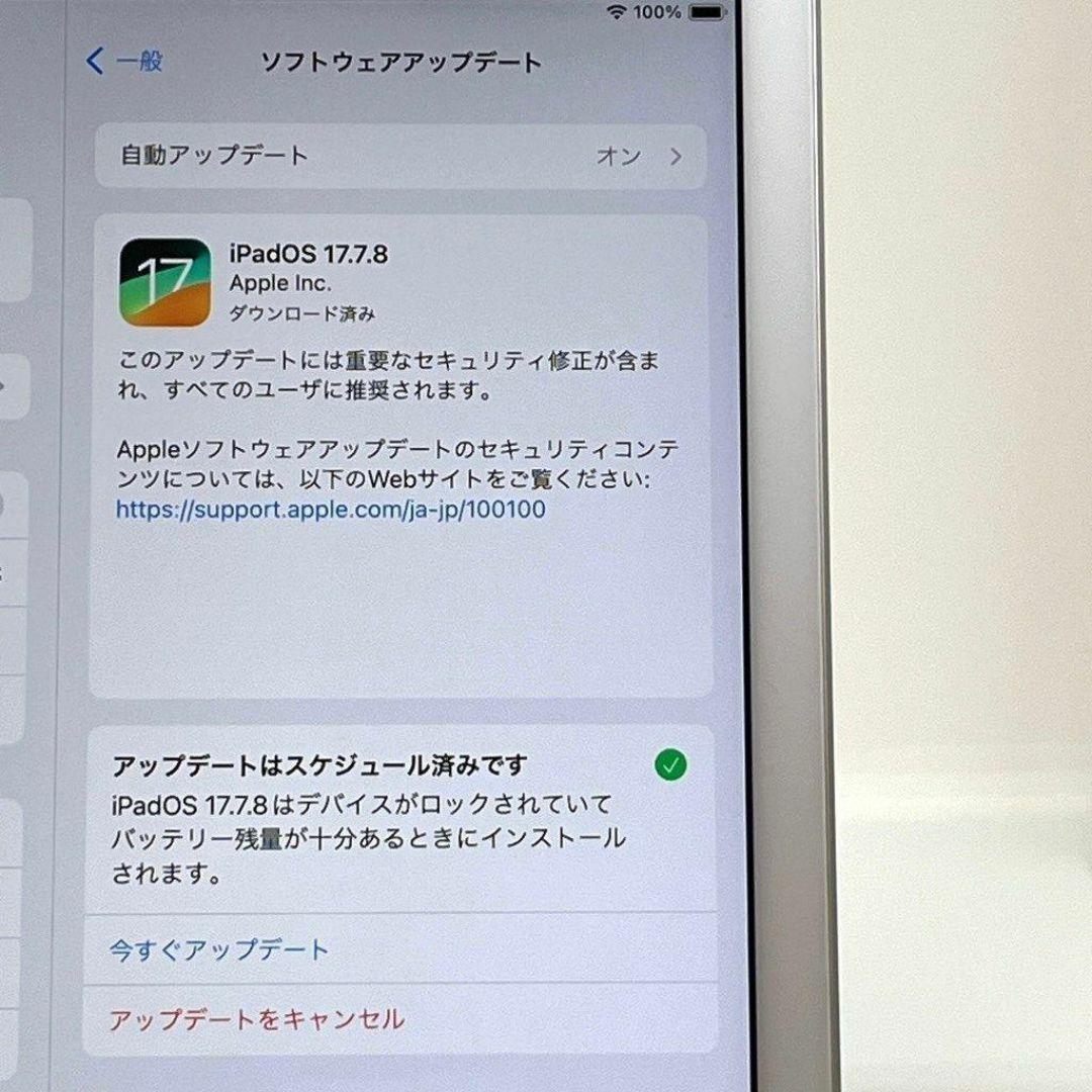 極美品 iPad 第6世代 32GB docomo SIMフリー 9.7インチ㉛