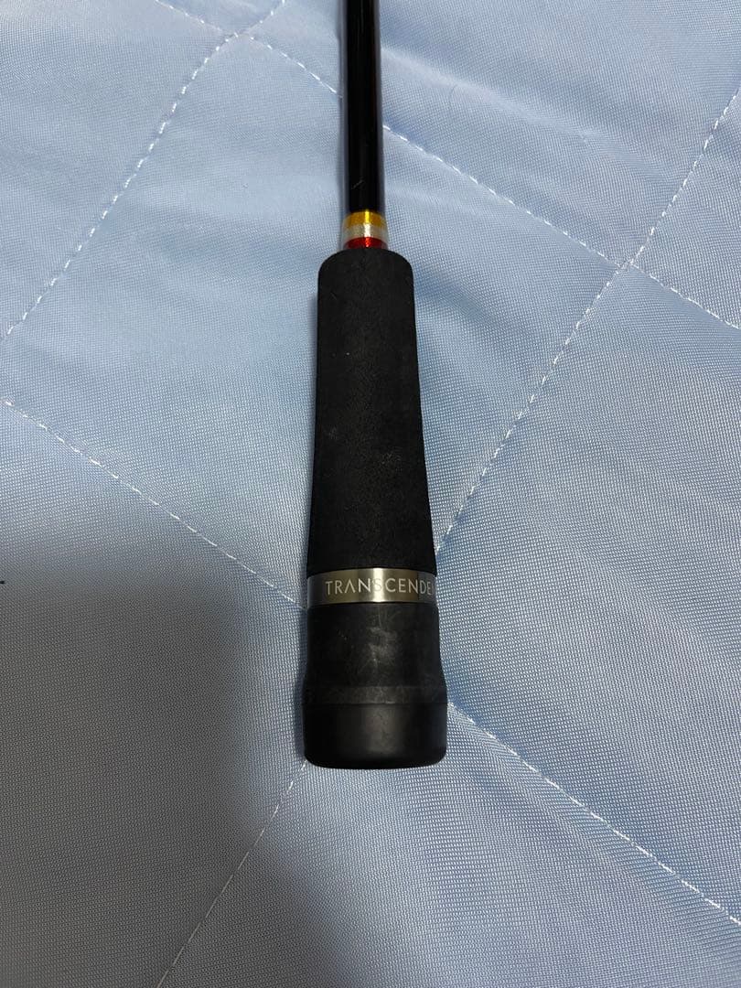 トランスセンデンス　ボティア