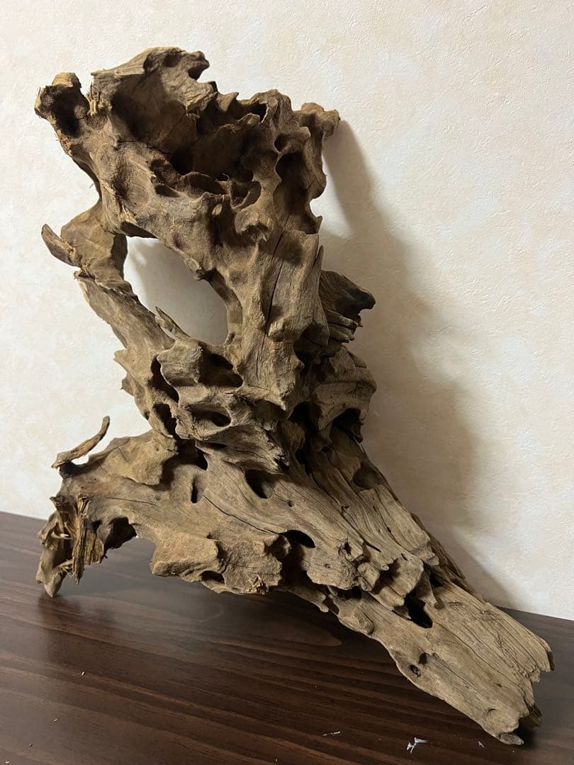 XM-198 流木　マシンガンウッド　アクアリウム　ブランチウッド　沈水確認済