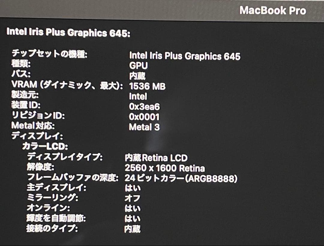 ヤバアギス様の件。MacBook Pro 2020
