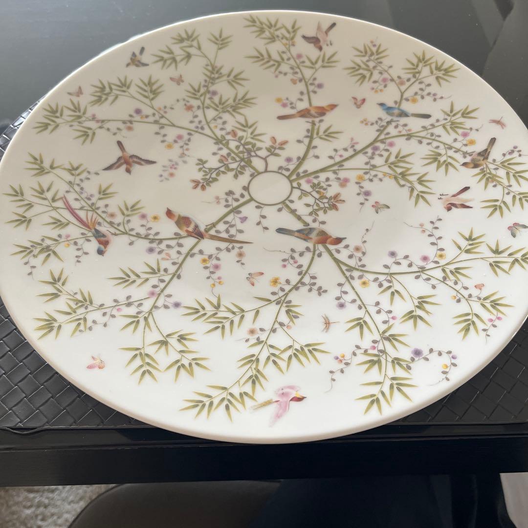 レイノー　パラダイス　32センチ　5枚セット