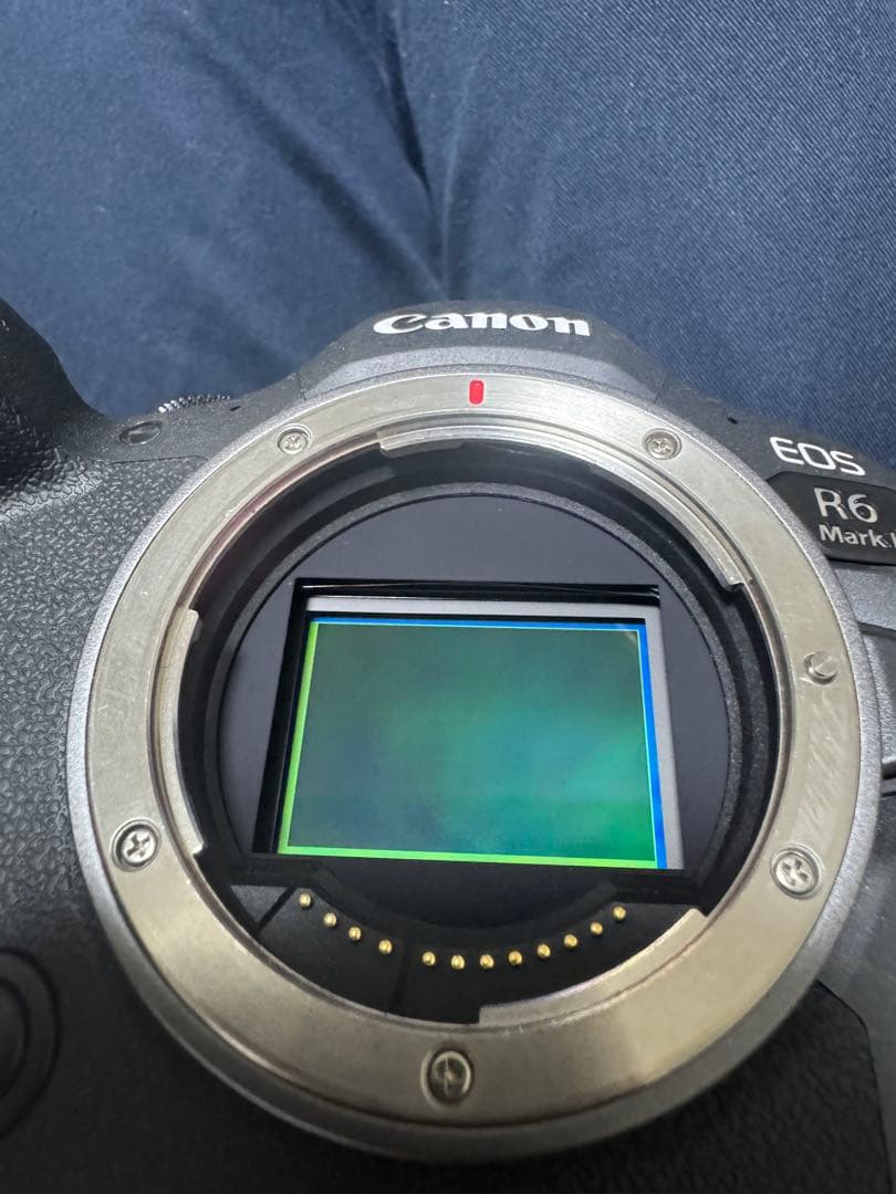 デジタルカメラ Canon EOSR6MarkII RF24-105mmF4 L IS SM