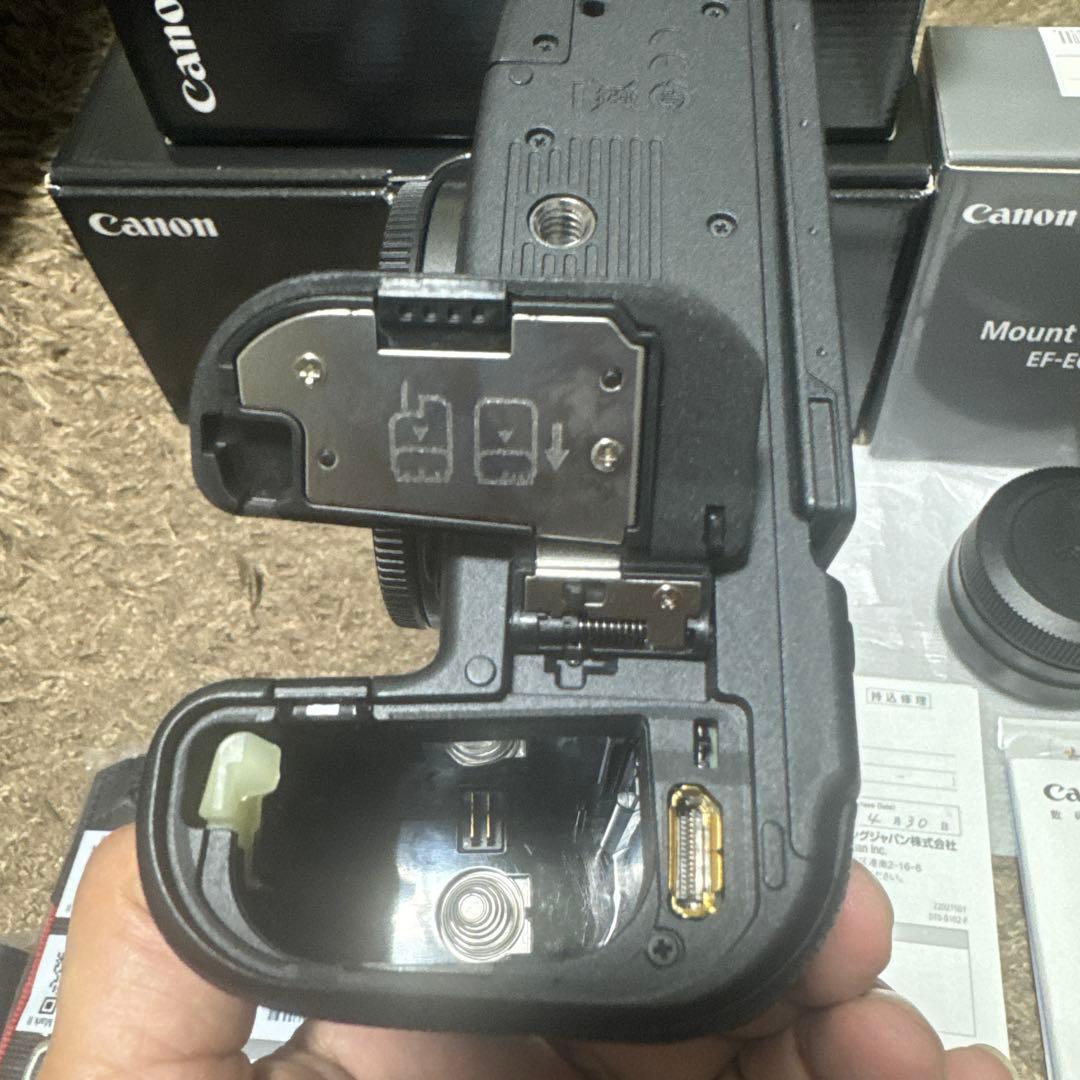 デジタルカメラ Canon EOSR6MarkII RF24-105mmF4 L IS SM