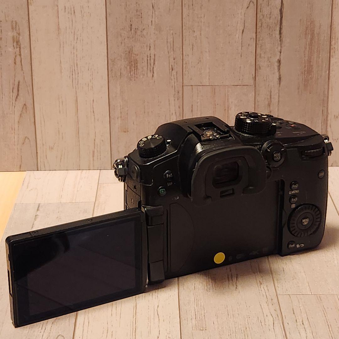 デジタルカメラ Panasonic LUMIX GH5