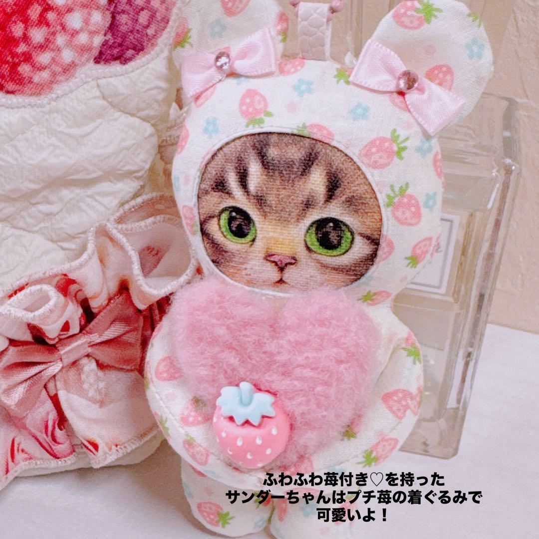 フ*ー様 コヤンイサムチョン♡リトルサンダーちゃんの薔薇と蝶々のフリルトートバッ