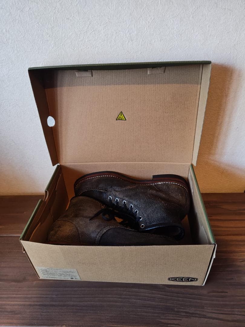 Redwing　8173　9E　オールソール　カスアム　モックトゥ　27cm