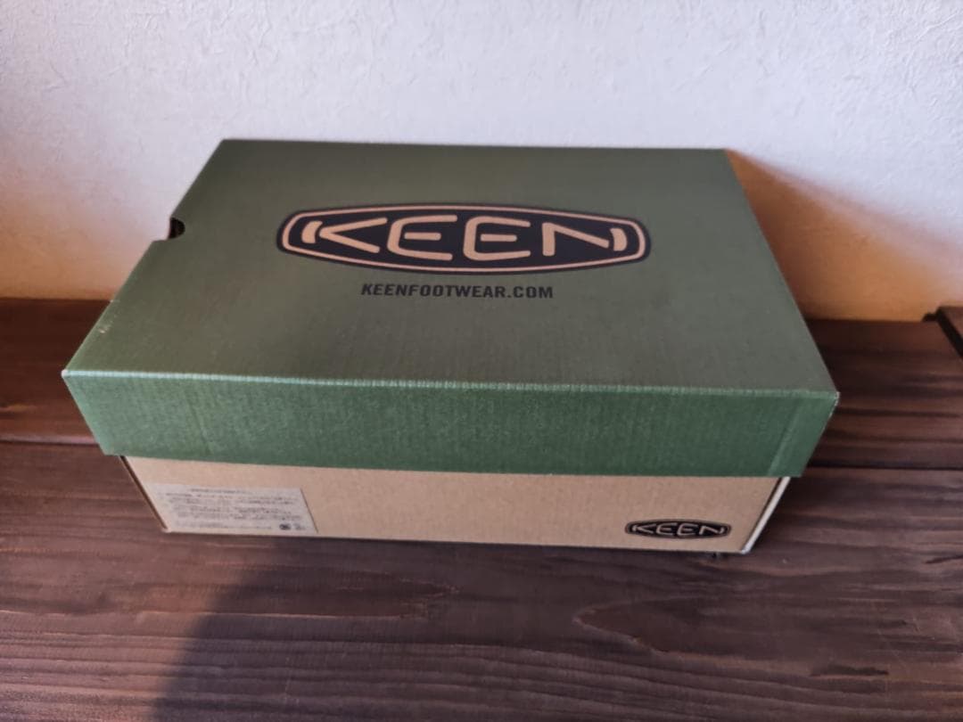 Redwing　8173　9E　オールソール　カスアム　モックトゥ　27cm